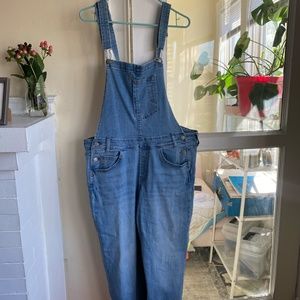 Levi's Stretch Denim Overalls